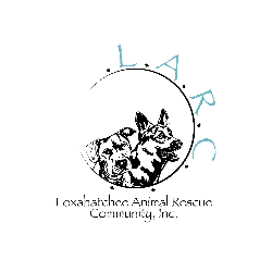 shelter logo