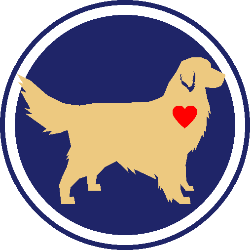 shelter logo