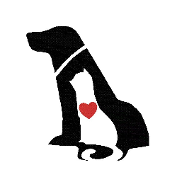 shelter logo