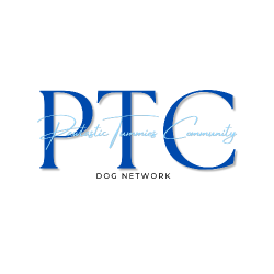 shelter logo
