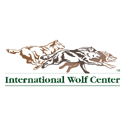 shelter logo