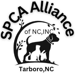 shelter logo