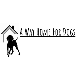 shelter logo