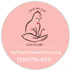 shelter logo