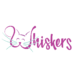 shelter logo
