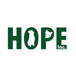 shelter logo