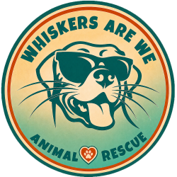 shelter logo