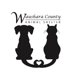 shelter logo