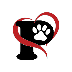 shelter logo