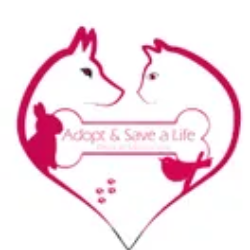shelter logo
