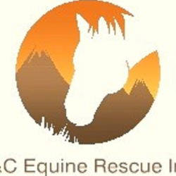 shelter logo