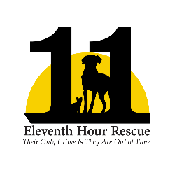 shelter logo