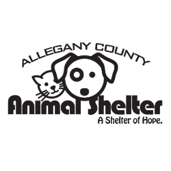 shelter logo