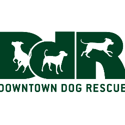 shelter logo