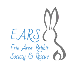 shelter logo