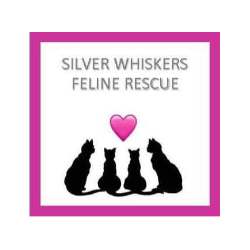 shelter logo