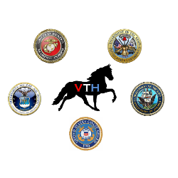 shelter logo