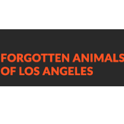 shelter logo