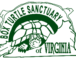 shelter logo