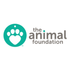 shelter logo