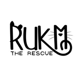 R U Kitten Me - The Rescue