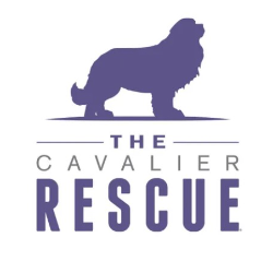 shelter logo