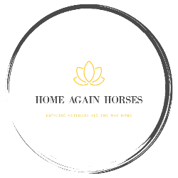 shelter logo