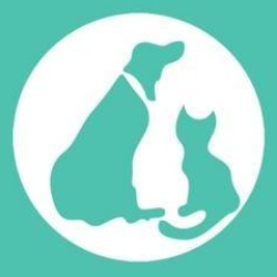 shelter logo