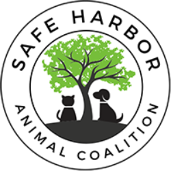 shelter logo