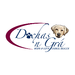 shelter logo