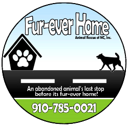 shelter logo