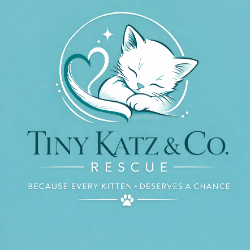 shelter logo