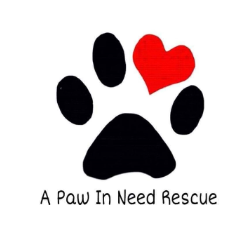 shelter logo