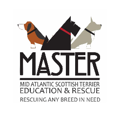 shelter logo
