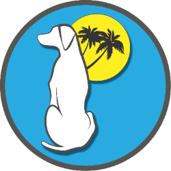 shelter logo