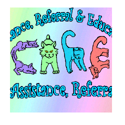 shelter logo
