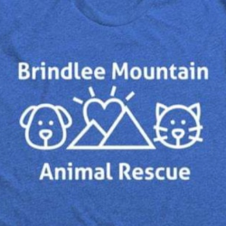 shelter logo