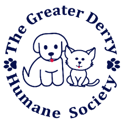 shelter logo