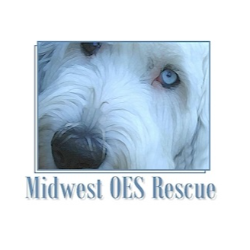 shelter logo