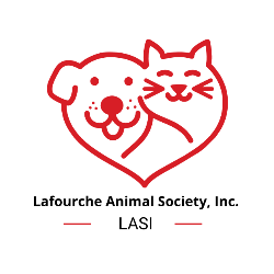 shelter logo