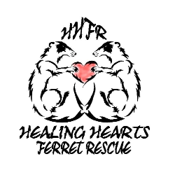 shelter logo