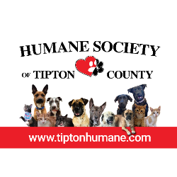 shelter logo