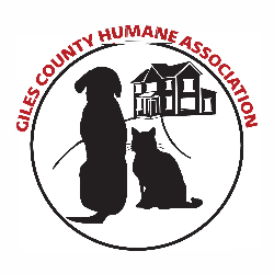 shelter logo