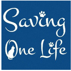 Saving One Life