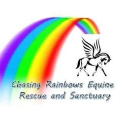 Chasing Rainbows Open Horse Show Series and Rescue and Sanctuary