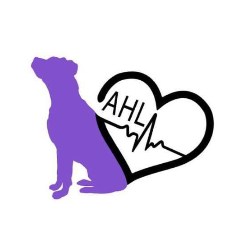 shelter logo