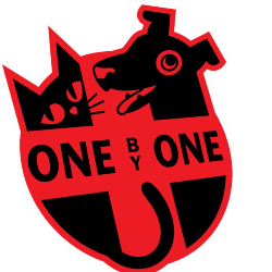 shelter logo