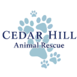 shelter logo