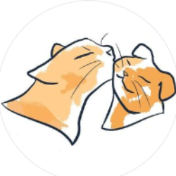 shelter logo