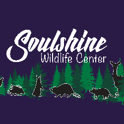 shelter logo